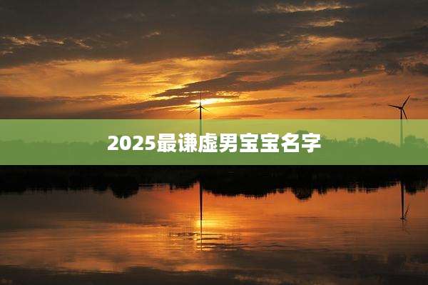 2025最谦虚男宝宝名字