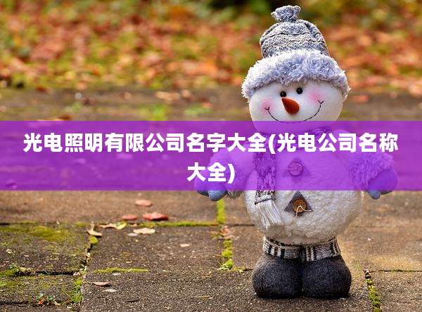 光电照明有限公司名字大全(光电公司名称大全)