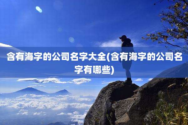 含有海字的公司名字大全(含有海字的公司名字有哪些)