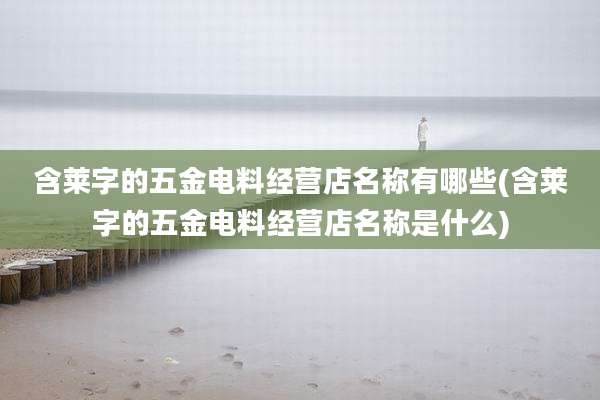 含莱字的五金电料经营店名称有哪些(含莱字的五金电料经营店名称是什么)