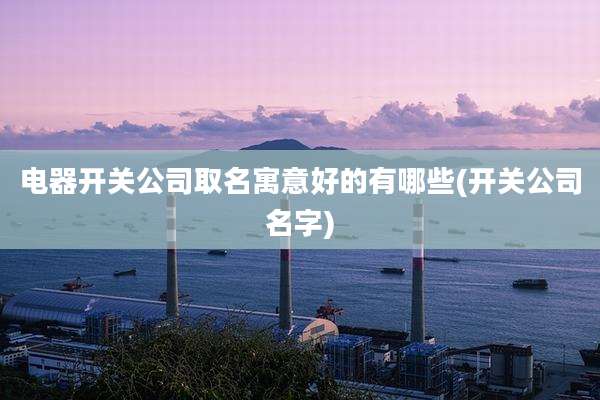 电器开关公司取名寓意好的有哪些(开关公司名字)
