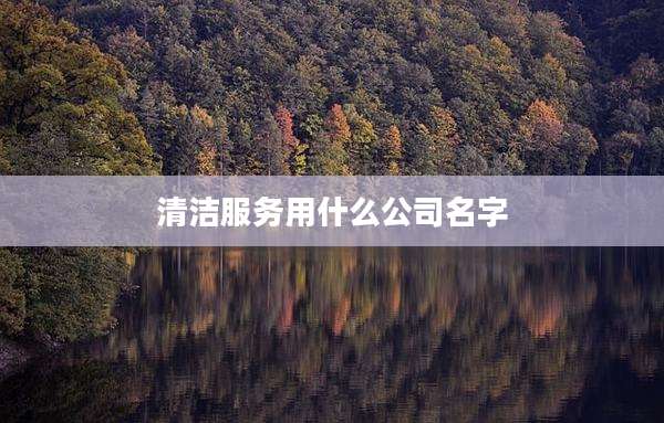 清洁服务用什么公司名字