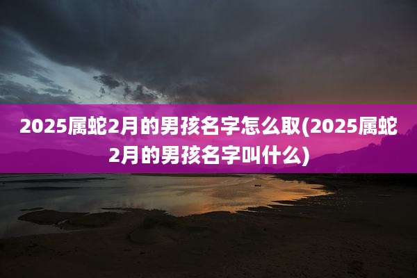 2025属蛇2月的男孩名字怎么取(2025属蛇2月的男孩名字叫什么)