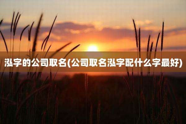 泓字的公司取名(公司取名泓字配什么字最好)