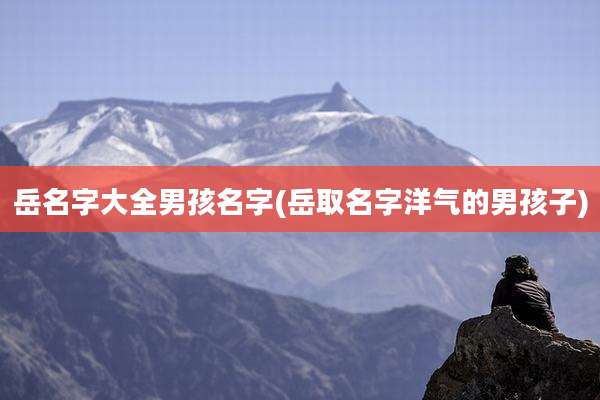 岳名字大全男孩名字(岳取名字洋气的男孩子)