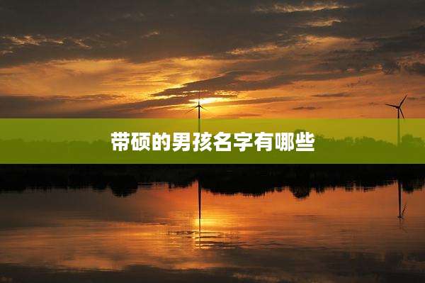 带硕的男孩名字有哪些