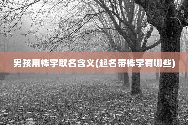 男孩用桦字取名含义(起名带桦字有哪些)