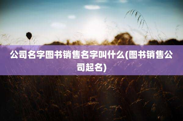公司名字图书销售名字叫什么(图书销售公司起名)
