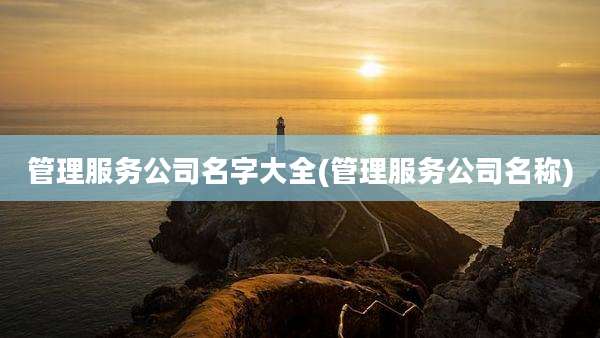 管理服务公司名字大全(管理服务公司名称)