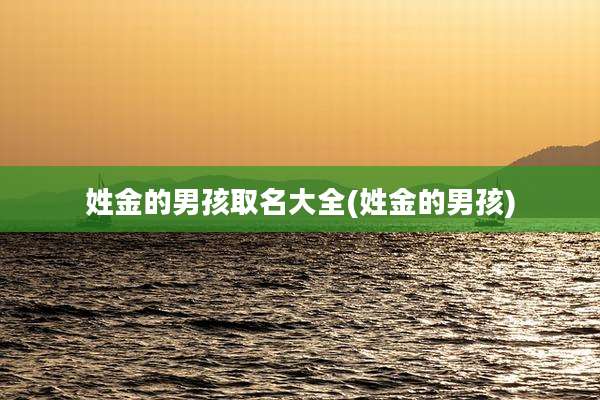姓金的男孩取名大全(姓金的男孩)
