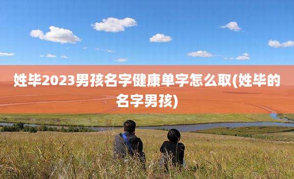姓毕2023男孩名字健康单字怎么取(姓毕的名字男孩)