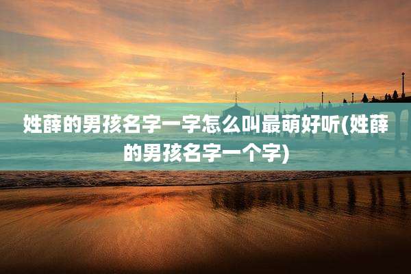 姓薛的男孩名字一字怎么叫最萌好听(姓薛的男孩名字一个字)