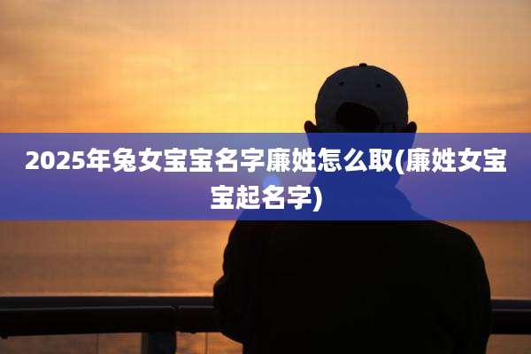 2025年兔女宝宝名字廉姓怎么取(廉姓女宝宝起名字)