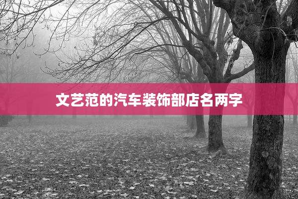 文艺范的汽车装饰部店名两字