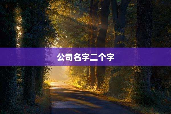 公司名字二个字