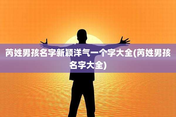 芮姓男孩名字新颖洋气一个字大全(芮姓男孩名字大全)