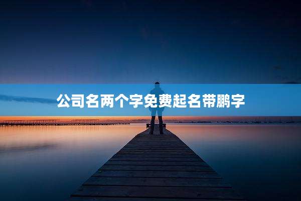 公司名两个字免费起名带鹏字