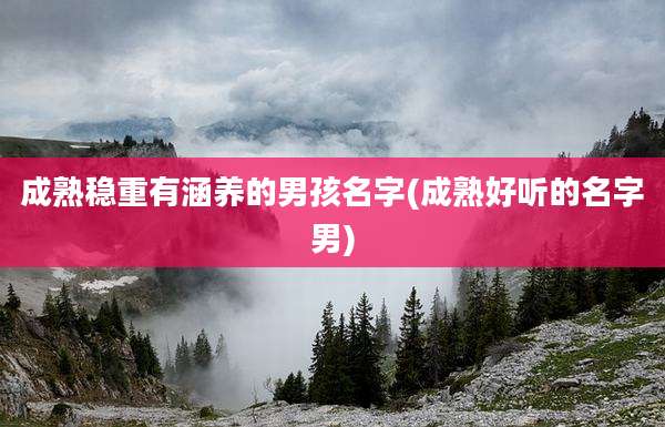 成熟稳重有涵养的男孩名字(成熟好听的名字男)