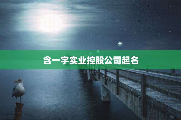 含一字实业控股公司起名
