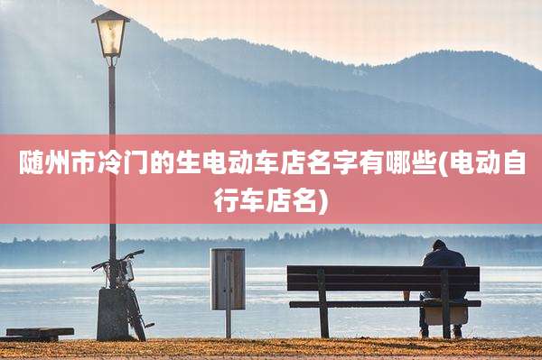 随州市冷门的生电动车店名字有哪些(电动自行车店名)