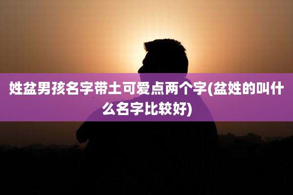 姓盆男孩名字带土可爱点两个字(盆姓的叫什么名字比较好)