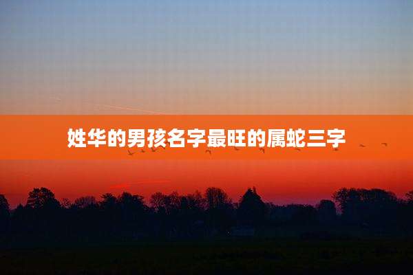 姓华的男孩名字最旺的属蛇三字