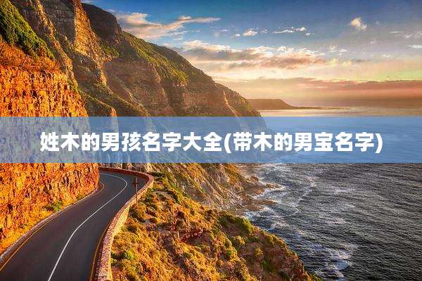 姓木的男孩名字大全(带木的男宝名字)