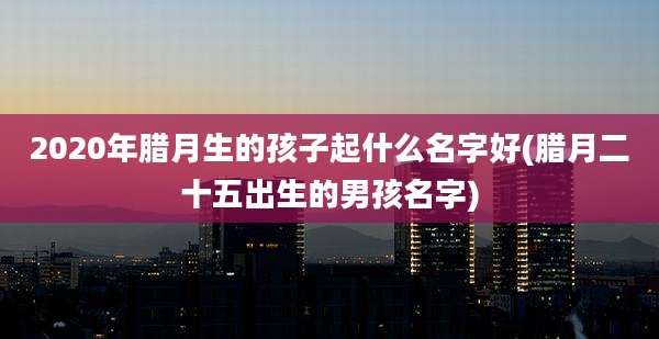 2020年腊月生的孩子起什么名字好(腊月二十五出生的男孩名字)