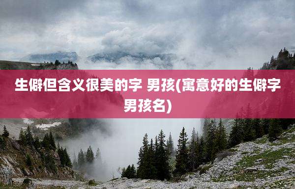生僻但含义很美的字 男孩(寓意好的生僻字男孩名)