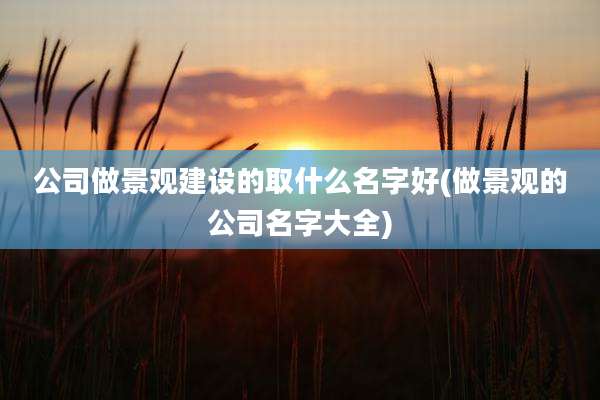 公司做景观建设的取什么名字好(做景观的公司名字大全)