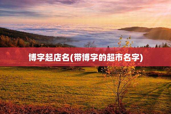 博字起店名(带博字的超市名字)