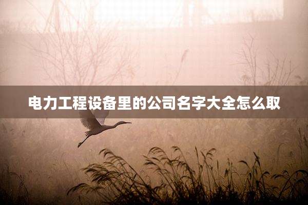电力工程设备里的公司名字大全怎么取