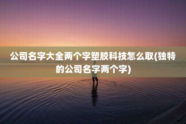 公司名字大全两个字塑胶科技怎么取(独特的公司名字两个字)