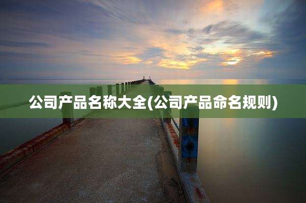 公司产品名称大全(公司产品命名规则)