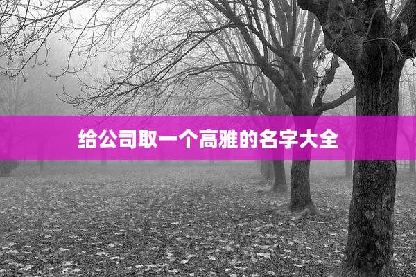 给公司取一个高雅的名字大全