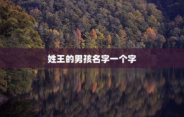 姓王的男孩名字一个字