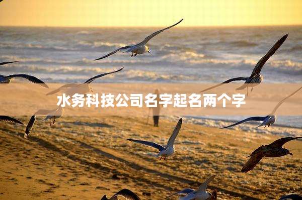水务科技公司名字起名两个字