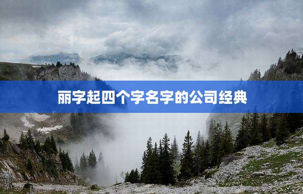 丽字起四个字名字的公司经典