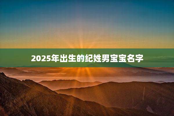 2025年出生的纪姓男宝宝名字