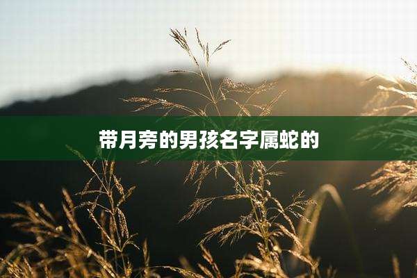 带月旁的男孩名字属蛇的