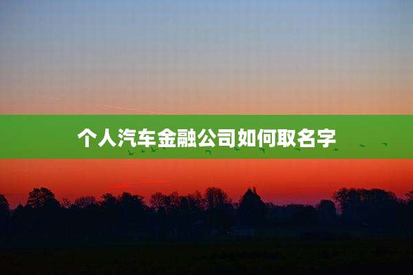个人汽车金融公司如何取名字