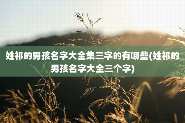 姓祁的男孩名字大全集三字的有哪些(姓祁的男孩名字大全三个字)