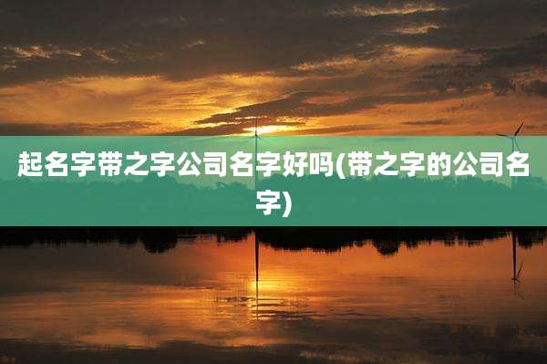 起名字带之字公司名字好吗(带之字的公司名字)