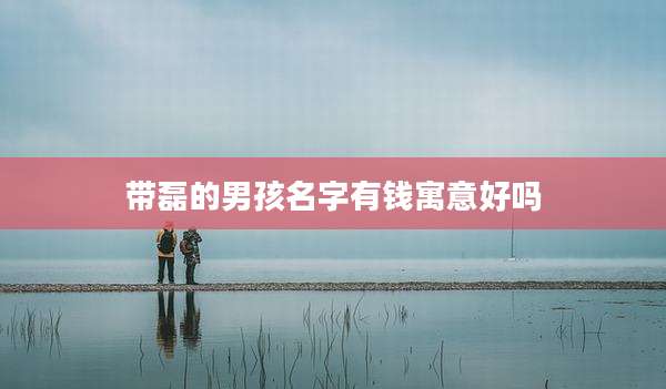 带磊的男孩名字有钱寓意好吗