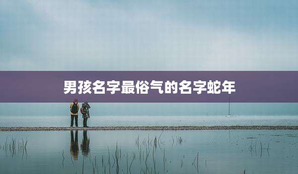 男孩名字最俗气的名字蛇年