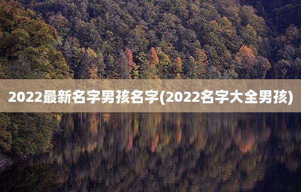 2022最新名字男孩名字(2022名字大全男孩)