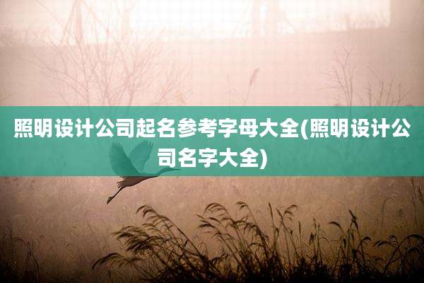 照明设计公司起名参考字母大全(照明设计公司名字大全)