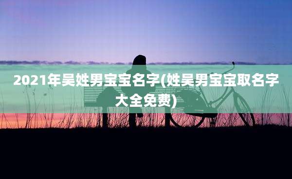 2021年吴姓男宝宝名字(姓吴男宝宝取名字大全免费)