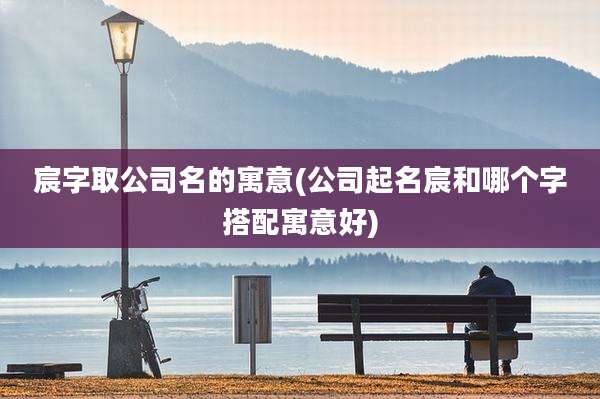 宸字取公司名的寓意(公司起名宸和哪个字搭配寓意好)