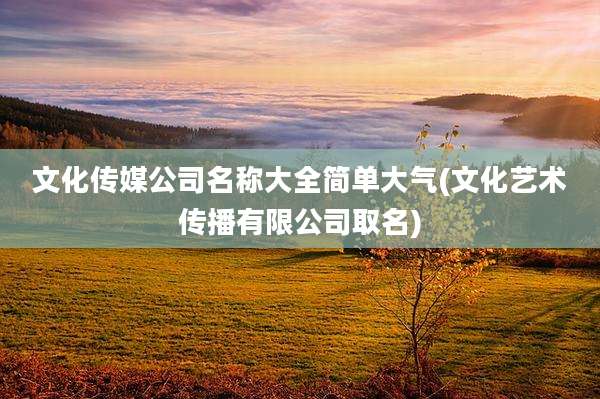 文化传媒公司名称大全简单大气(文化艺术传播有限公司取名)